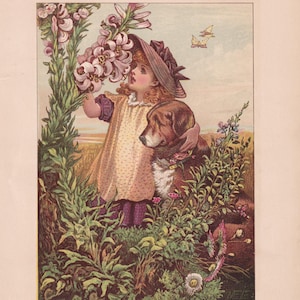 Victorian Lithograph Little Girl and Dog - Etsy