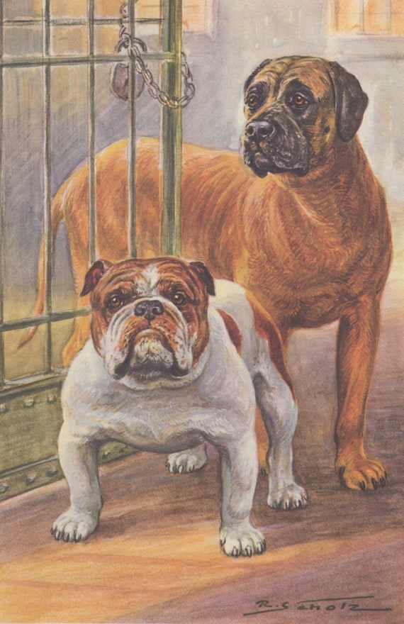 Download Vintage Mastiff Dog & English Bulldog Color Dog Art Print 1960 | Etsy