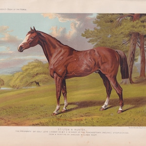 Early Hunting Horse " STILTON " Equine Antique Horse Art Print Lithograph 1873