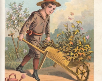 Niño trabajando en un jardín de flores. Grabado antiguo, cromolitografía, 1895.