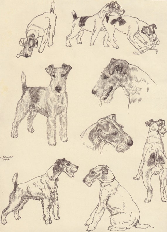 patterdale terrier keyring
