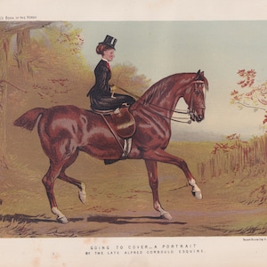 Antique Horse Lithograph Equestrian Lady Riding Horse Sidesaddle Side Saddle Equine Animals Art Print 1873