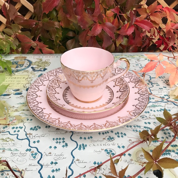Tuscan Fine Bone China Tea Trio English Pink Porcelain Etsy
