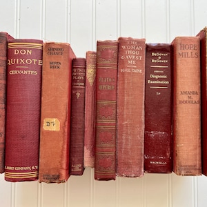 Stack of vintage red books (10)