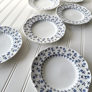 May include: Six white ceramic plates with a scalloped edge and a blue floral pattern. The plates are arranged on a white surface. The floral design features small blue flowers and leaves around the rim.