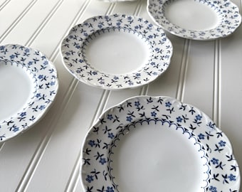 English Staffordshire Sterling Plates, Cornflower Pattern - Set of 6