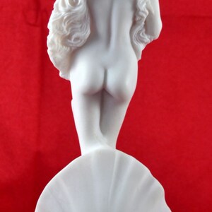 May include: White marble statue of a woman standing on a shell. The statue is a replica of the famous Venus de Milo sculpture. The statue is on a white pedestal with a circular base.