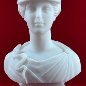 Athena bust greek statue wisdom civilization goddess white NEW