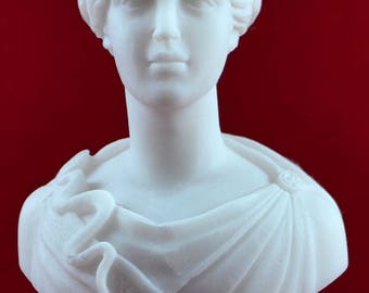 Athena bust greek statue wisdom civilization goddess white NEW