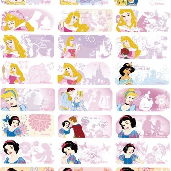 48/96 Nouveaux autocollants personnalisés Disney Princess avec nom/école – Étiquettes moyennes (30 x 13 mm) lavables au lave-vaisselle