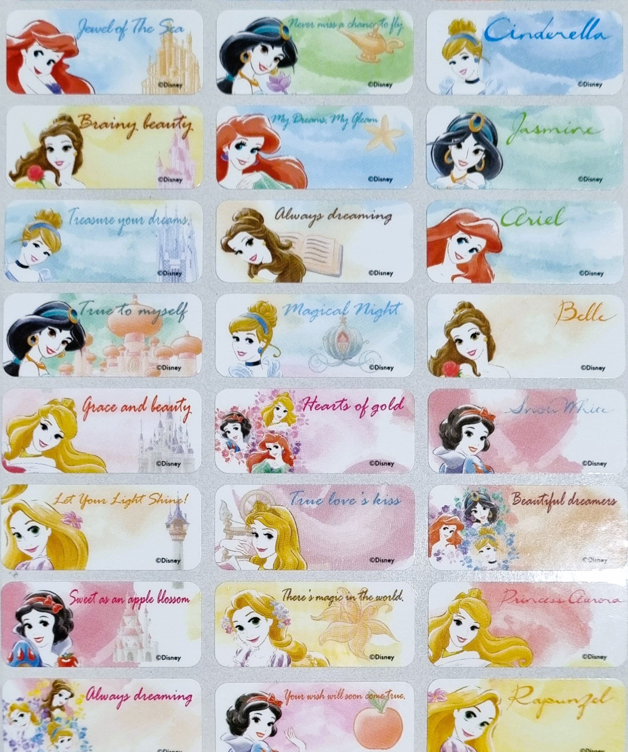 48/96 Disney Princess Watercolour Personalised Name / School Label ...