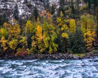 Autumn Drama, mountains, fall, autumn, fall color, wall art, landscape, photography, photo, nature, print, PNW, Leavenworth, tumwater canyon