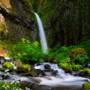 Spring has Sprung, flowers, wildflowers, waterfalls, waterfall, sunset, oregon, wall art