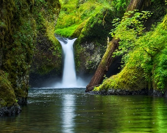 Spring Plunge, punch bowl falls, oregon, wall art, waterfalls, waterfall, gorge, pacific northwest, spring, photography, landscape, nature