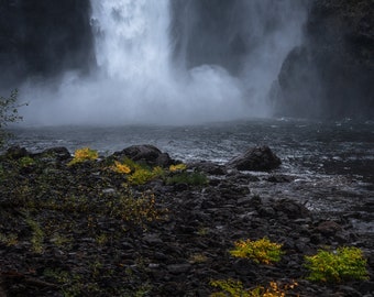 Fall Finale, snoqualmie falls, washington, moss, forest, nature, waterfall, photography, photo, wall art, fall, fall color