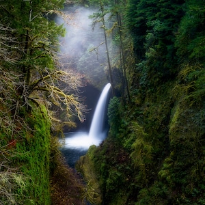 Metlako Mood, cascadas, cascada, bosque, oregón, arte mural, paisaje, fotografía, foto, naturaleza, foto, impresión,