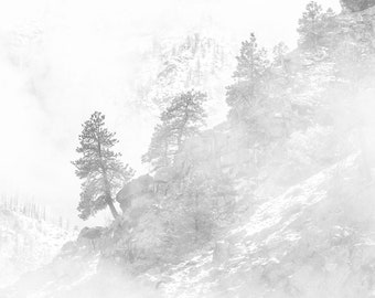 The Ridge, winter, snow, trees, fog, foggy, wall art, washington, Leavenworth, mountains, cold, photo, photography