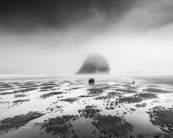 Fantasmas, Neskowin, Oregón, costa, paisaje marino, blanco y negro, paisaje, amanecer, naturaleza, océano, playa