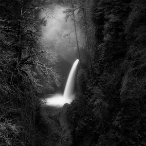 Remembrance, waterfalls, waterfall, forest, oregon, wall art, landscape, photography, photo, nature, photo, print, metlako falls