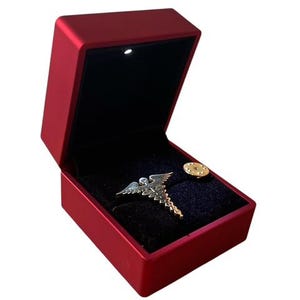 Medical Lapel Pin Caduceus Pin Pure Silver Coated Caduceus  Pin Badge Brooch Gifts for Nurses Doctor Dentist Paramedic Ambulance LED Case