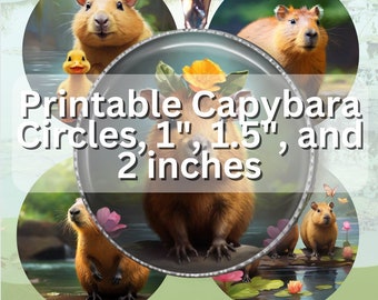 Adorables pegatinas de círculo digital Capybara para descargar e imprimir, 3 tamaños, formato Png