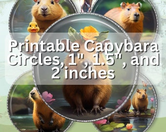 Capybara Digital Bundle of Circle Stickers for Download and Printing, 3 Sheets, 3 sizes, PNG Files