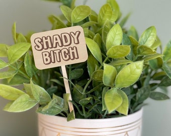 Shady Bitch, Funny Plant Marker, Engraved Plant Stake, Funny Plant Sign, Gift for Plant Lover, Funny Plant Saying, House Plant Accessories