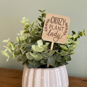 Funny Plant Marker, Crazy Plant Lady, Engraved Wood Plant Stake, Funny plant Sign, Housewarming Gifts for Plant Lovers, Funny Plant Saying
