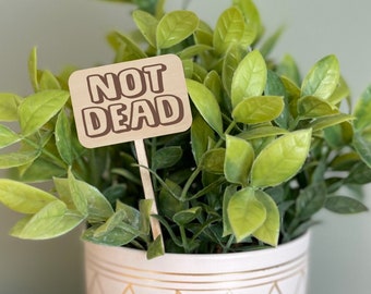 Not Dead, Funny Plant Marker, Engraved Plant Stake, Funny Plant Sign, Gift for Plant Lover, Funny Plant Saying, House Plant Accessories