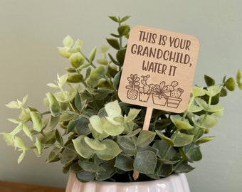 This Is Your Grandchild, Water It, Funny Plant Marker, Engraved Plant Stake, Funny Plant Sign, Gift for Plant Lover, House Plant Accessories