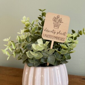 May include: A small, white ceramic pot with a ribbed design, holding a green plant. A wooden sign with the text "Anxiety plant I PHOTOSYMTHISE" is inserted into the plant. The pot sits on a small wooden stand.