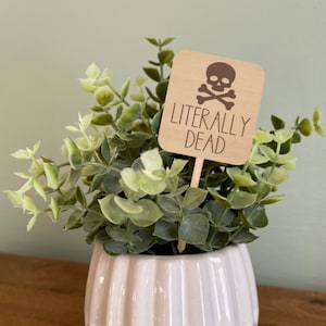 May include: A white ceramic pot with a textured surface sits on a wooden stand. The pot contains a small green plant with a wooden sign that reads "LITERALLY DEAD" with a skull and crossbones graphic.