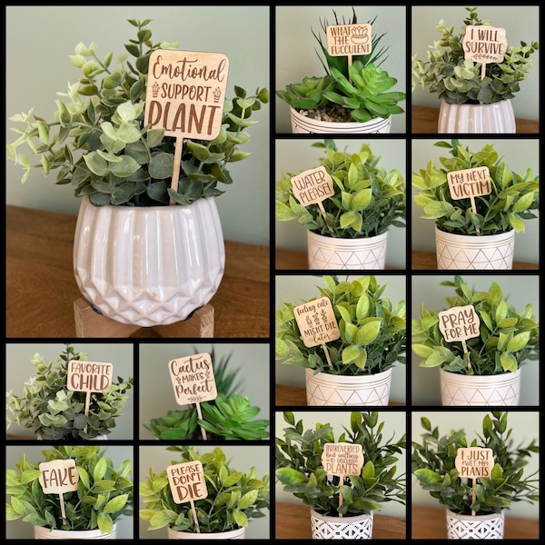 Funny Plant Markers, Engraved Wood Plant Stakes, Funny plant Signs, Housewarming Gift, Gifts for Plant Lovers, Funny Plant Sayings