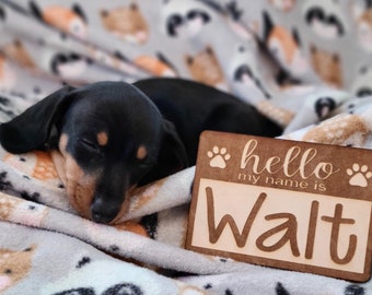 Hello My Name Is, Laser Engraved Wood Name Tag, New Puppy Gift, New Kitten Present, Pet Name Tag, Gifts for Animal Lovers, Paw Prints