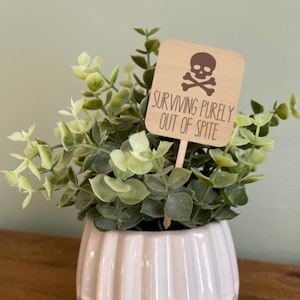 May include: A white ceramic planter with a diamond pattern sits on a wooden stand. A small wooden sign with a skull and crossbones graphic reads "SURVIVING PURELY OUT OF SPITE".
