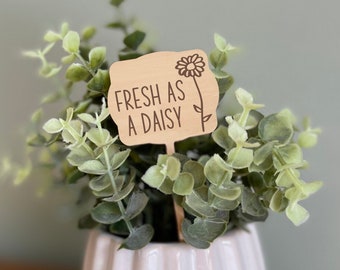 Fresh as a Daisy, Funny Plant Marker, Daisies, Wood Plant Stake, Funny plant Sign, Housewarming Gift for Plant Lover, Plant Accessory