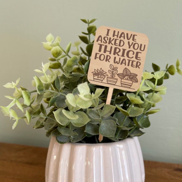 Funny Plant Marker, I Have Asked You Thrice For Water, Engraved Plant Stake, Funny plant Sign, Housewarming Gift for Plant Lovers,