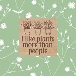 I Like Plants More Than People Refrigerator Magnet, Laser Cut Wood Magnet, Plant Pun Magnet, Birthday Gift Idea, Gift for Plant Lovers