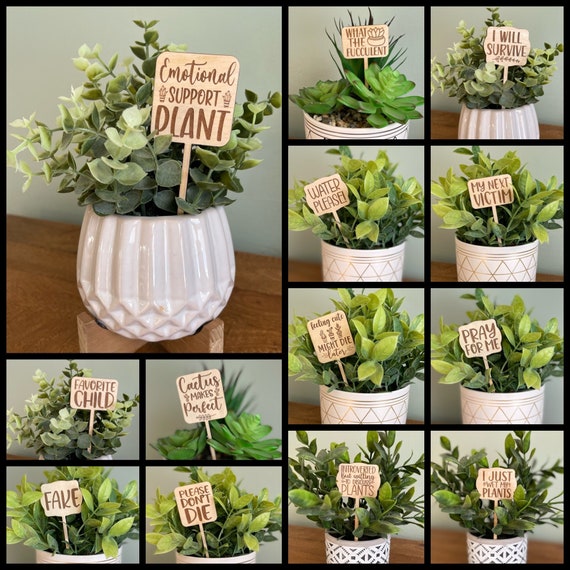 Funny Plant Markers Sign Gift Tags – Cracked Ginger