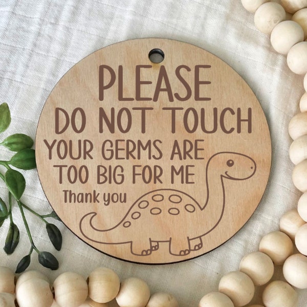 Dinosaur Please Do Not Touch Sign, Car Seat Sign, Baby Germs Tag, Preemie Sign, Shower Gift Idea, New Baby, Baby Carrier Sign, Stroller Tag