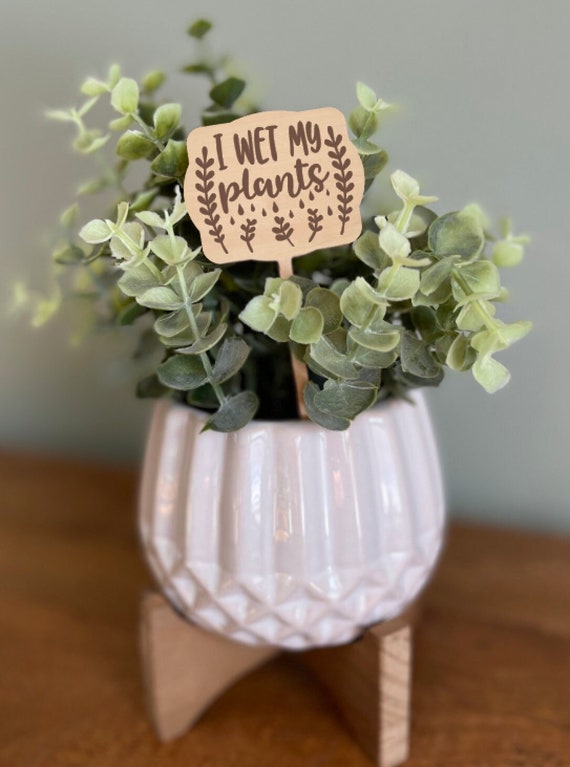Funny Plant Marker, I Wet My Plants, Engraved Plant Stake, Funny