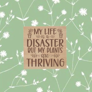 My life is a Disaster, but My Plants are Thriving, Refrigerator Magnet, Laser Cut Wood Magnet, Plant Pun Magnet, Birthday Gift Idea