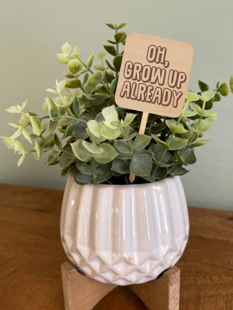 Oh Grow Up Already, Funny Plant Marker, Plant Stake, Funny Plant Sign, Gift for Plant Lover, House Plant Accessories, Plant Spike image 1