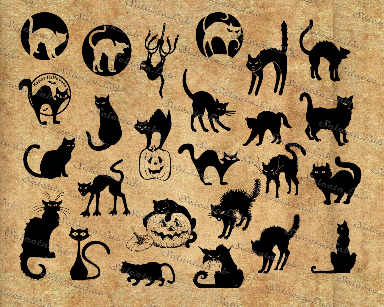 Download Digital SVG PNG halloween cat cats wicht pumpkin | Etsy