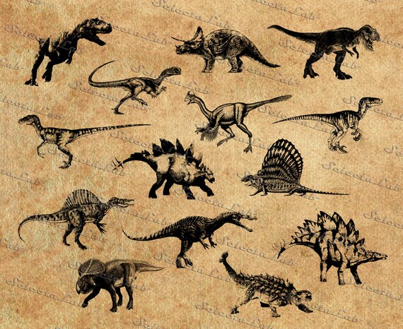 Download Items similar to Digital SVG PNG dinosaurs, skeleton ...