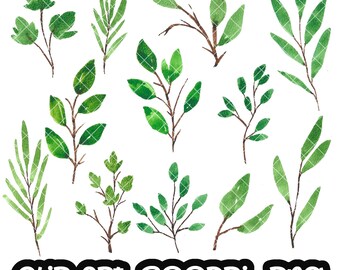 Leaves Clip art Leaf Watercolor Clipart PNG