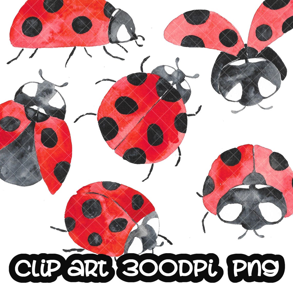 Lady Bugs, Insects, Handpainted Watercolor Clip Art INSTANT DOWNLOAD - Etsy