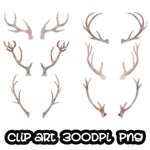 Antlers, Deer, Nature clip art Handpainted watercolor clip art  INSTANT DOWNLOAD