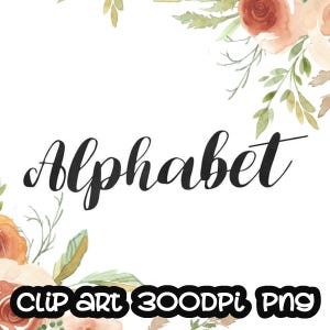 以下が含まれることがあります： 水彩画で描かれた「Alphabet」という単語のイラスト。筆記体で書かれており、花柄の縁取りが施されています。花はピンクとオレンジの色合いです。