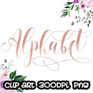 Pink Alphabet Clip art, Pink Foil Alphabet, Digital clipart, Font, Letters cards, invitationsrt, PNG